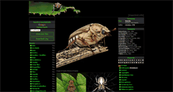Desktop Screenshot of insectoid.info